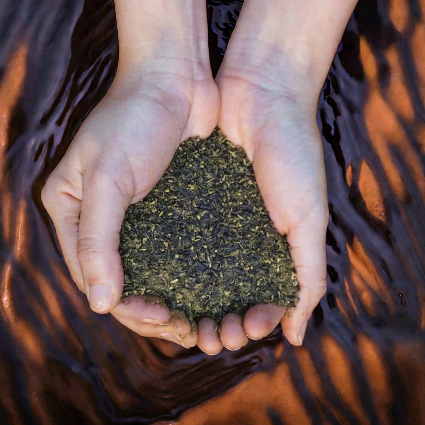 Seaweed Meal