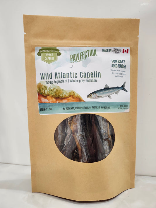Wild Atlantic Capelin