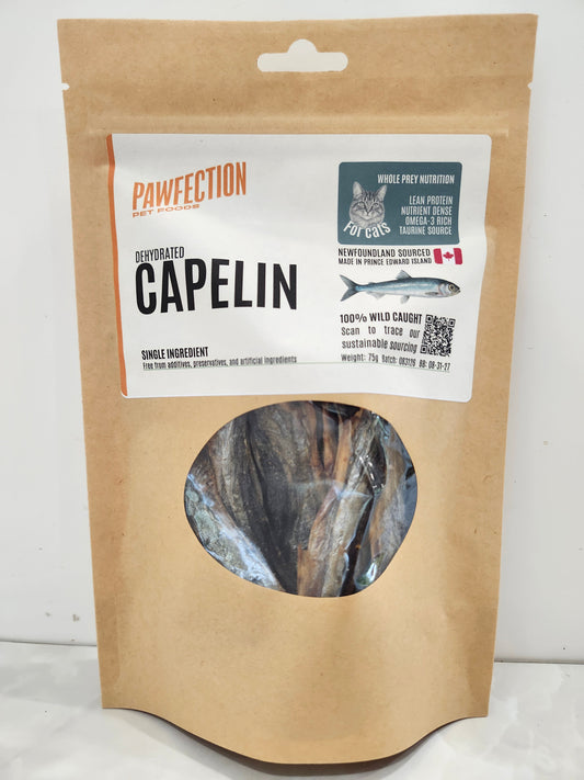Capelin