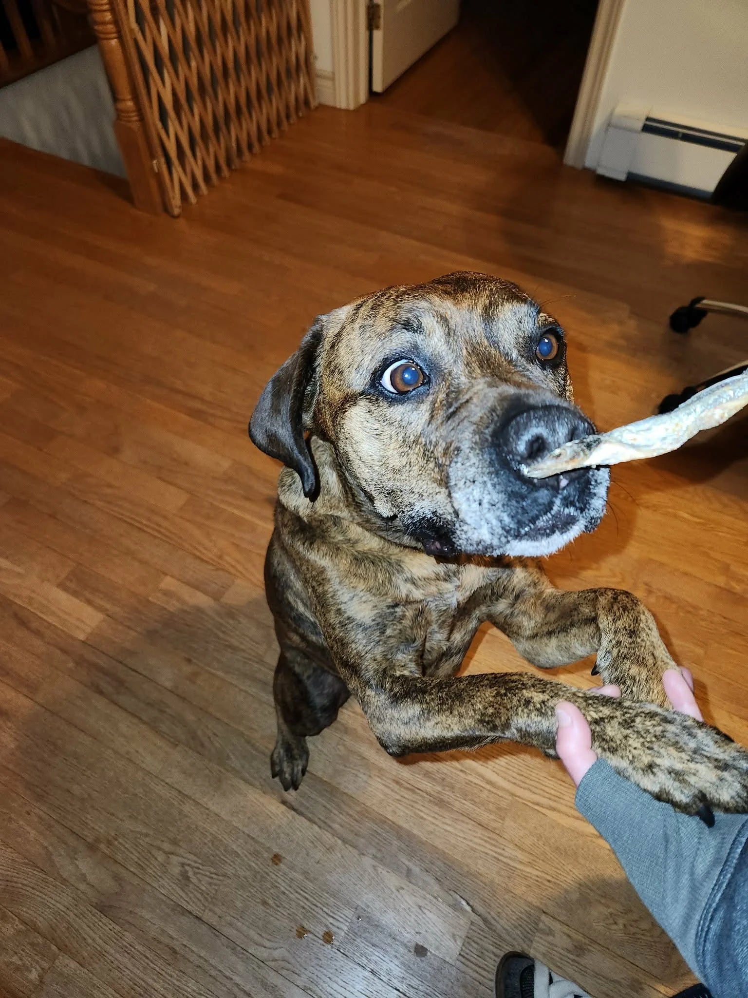 8de2e4f4-c37e-4d6c-afca-291a9e1510af